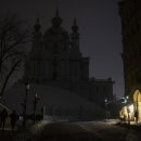 생명의줄기 이미지