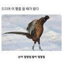 동희정공 | 11월결산