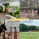 선길농장 이미지