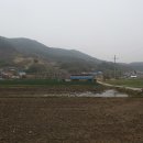 음지마을 농로 이미지