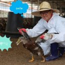 덕담골유황오리 이미지