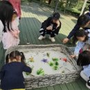 나비공원 이미지