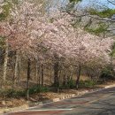 남구 용호동 이기대 도심 자연공원을 느끼다 (부산일보 부즐백UCC) 이미지