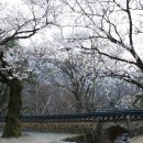 바람그늘