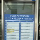 872 | [중국/대련] 중국 대련 대한항공 KE869, KE872 탑승 후기 기내식 수하물