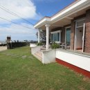 방울풍뎅이 이미지