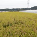 가람합동부동산중개사무소 이미지