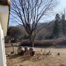 경기도 양주에 위치하는 일영 허브랜드 후기