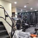 스테디 짐 이미지