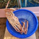 하남 수산물 시장 어서오시게, 땡큐수산 후기 (feat. 대한민국수산대전상품권)
