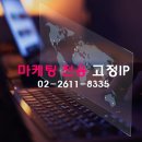 보나아이피 네이버블로그