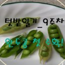 싹싹한모종가게 이미지