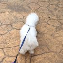 복받은펜션 이미지