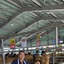 경남가축개량소 이미지