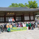 20260501 창 경 궁 3 이미지
