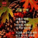 헤드라인 뉴스(20년9월20일) 이미지