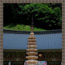 월정사 - 1357 | 월정사