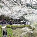 에클레시아남성합창단 이미지