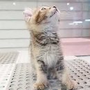 하리네 하우스 이미지