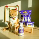 (주)아성다이소 평택세교점 | 고양이모래 물티슈 가성비 좋은 다이소신상 깨끗한나라 포포몽