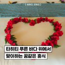 타히티호텔 | 푸른 바다위에 휴식🛏️(타히티 호텔: 아름다운 자연과의 조화)