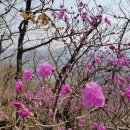 팔야2리 이미지