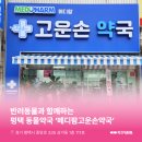 메디팜동물약국 이미지