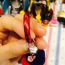 베트 멍멍 이미지