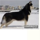 옷빨 - 화성시 송산포도로 132-1 | 옷빨