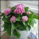 1000(천)공인중개사사무소 이미지