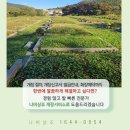 (주)서울여객 | 용미리2묘지 이장 개장화장지원금 혜택받고 서울시립승화원까지 파묘 절차