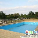 도그베이 이미지