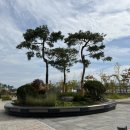 솔빛공원 농구장 | 세종 중앙공원 놀이터 주차장 편의시설(카페, 매점, 체육시설, 자전거대여, 자율주행 예약, 분수) 정보...