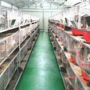 감먹은 토끼 이미지