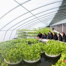 대오농장 이미지