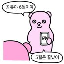아임캣맘 | 주인장 생일 Month, S2