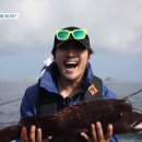 도시어부 국민일보