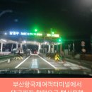 부산항국제여객터미널에서 대구까지 착한요금 택시운행