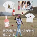 제이빈 | 황리단길 먹거리 포장 코스, 체리주와 충효닭집 닭강정까지 완벽했던 경주 여행