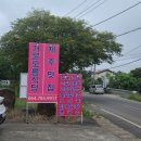 여행 기록(4)/ 제주 조천 장미 카페 /제주 장미 농원/아일로사/제주 식당 후기/ 내 돈 내산/ 1일 1캘리...