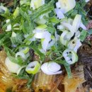 소문난감자탕 이미지