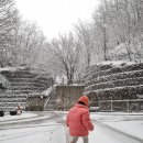 젊은열대어 이미지