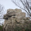 완도보길중학교 이미지