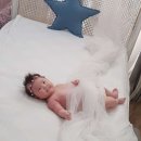 벌스데이스튜디오