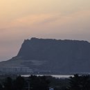 벵가스테이 이미지