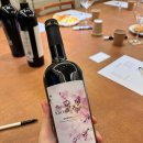 2017 | 이마트 추천 와인 보시오 바르바레스코 시뇨리 2017 후기 Bosio