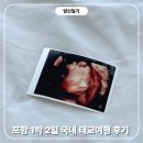 임신마을 | 임신일기 36주 포항 1박2일 국내 태교여행 후기 (임산부 할인 카페)