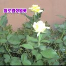 부만(주) 이미지
