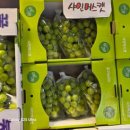 이레청과 이미지