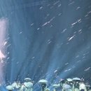 NCT127콘서트 《NEO CITY-THE MOMENTUM》 후기